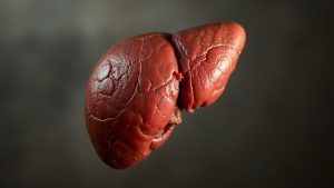 Ficat uman afectat de stres.